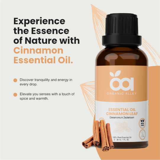 Cinnamon Leaf Essential Oil by Organic Alley (1 Fl Oz) | 100% Pure & Natural Cinnamomum Verum | Perfect for Aromatherapy & Home Fragrance