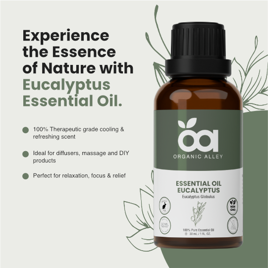 Eucalyptus Essential Oil by Organic Alley (1 Fl Oz) | Pure & Revitalizing Eucalyptus Globulus | Breathe Easy & Refresh Your Senses