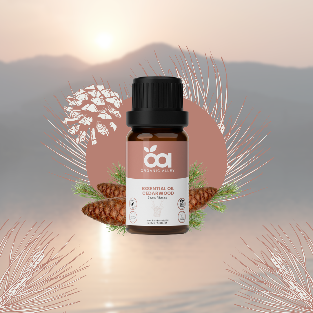 Cedarwood Essential Oil by Organic Alley | 100% Pure, Undiluted and Natural Cedrus Atlantica Oil | Skin, Hair, Stress and Body Balance | (0.33 Fl Oz)