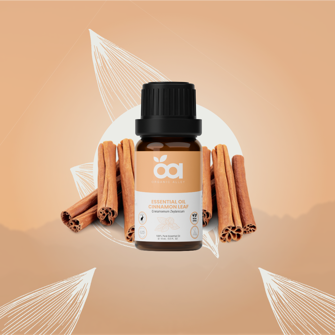 Cinnamon Leaf Essential Oil by Organic Alley (10 mL) | Pure Cinnamomum Verum | Aromatherapy & Home Fragrance