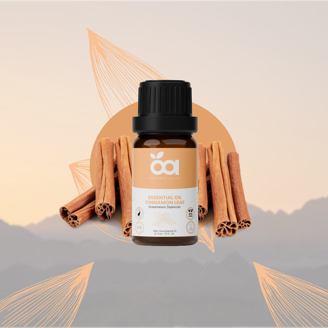 Cinnamon Leaf Essential Oil by Organic Alley (10 mL) | Pure Cinnamomum Verum | Aromatherapy & Home Fragrance