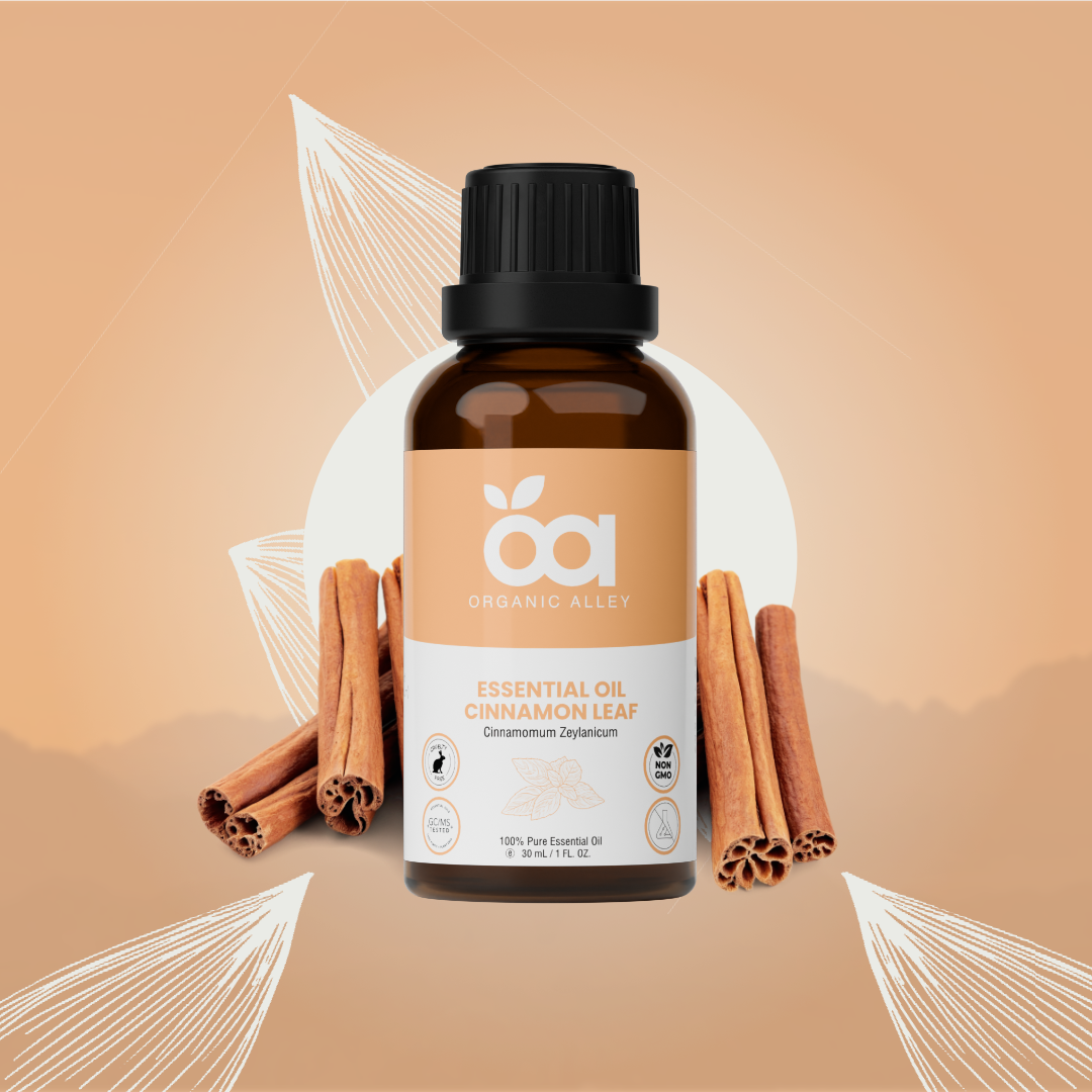 Cinnamon Leaf Essential Oil by Organic Alley (1 Fl Oz) | 100% Pure & Natural Cinnamomum Verum | Perfect for Aromatherapy & Home Fragrance