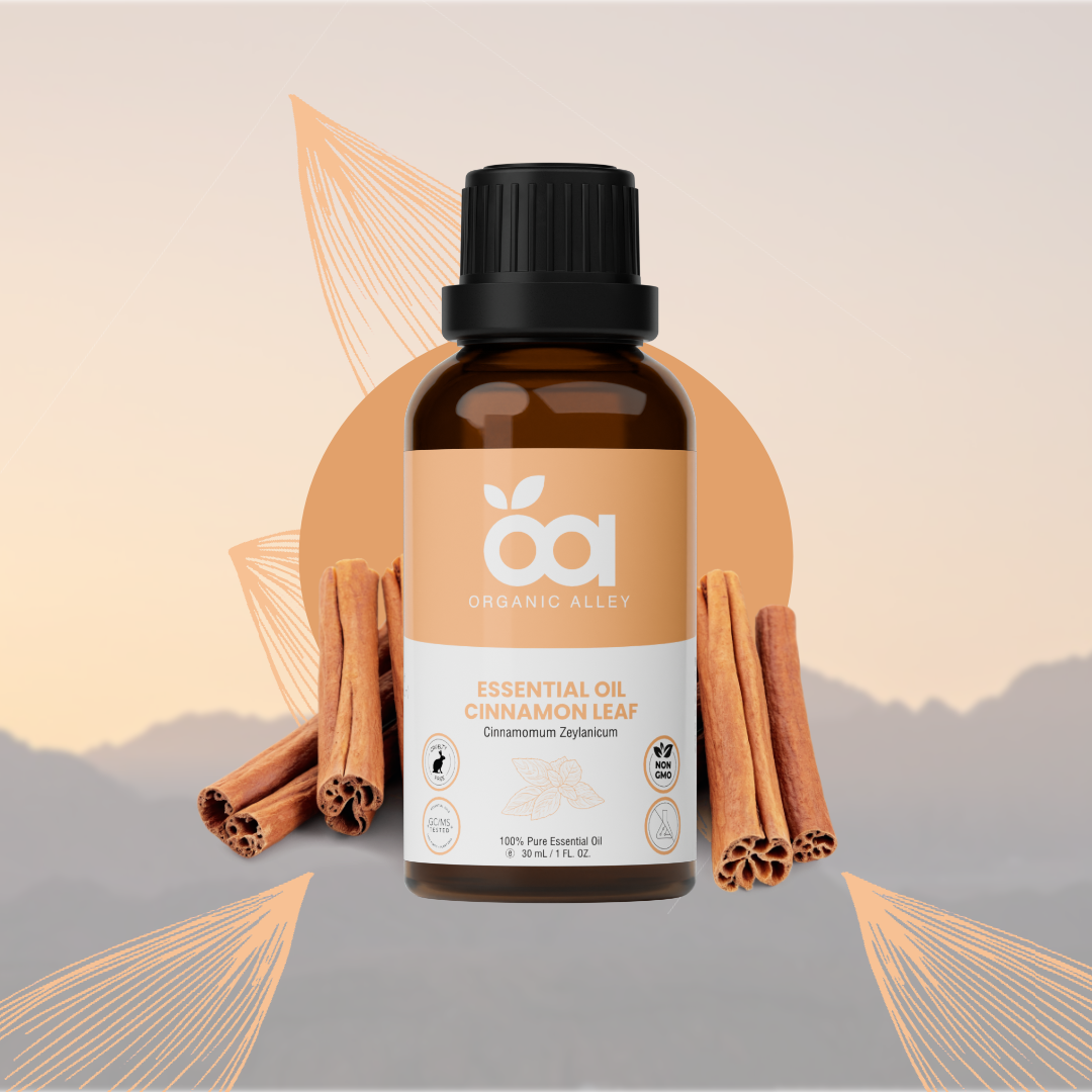 Cinnamon Leaf Essential Oil by Organic Alley (1 Fl Oz) | 100% Pure & Natural Cinnamomum Verum | Perfect for Aromatherapy & Home Fragrance