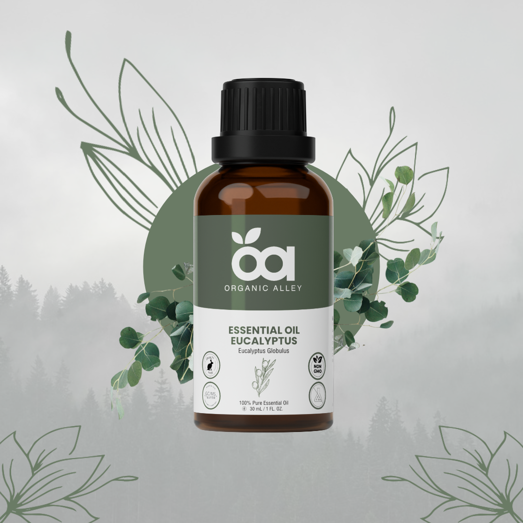 Eucalyptus Essential Oil by Organic Alley (1 Fl Oz) | Pure & Revitalizing Eucalyptus Globulus | Breathe Easy & Refresh Your Senses