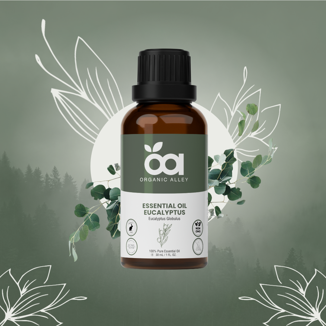 Eucalyptus Essential Oil by Organic Alley (1 Fl Oz) | Pure & Revitalizing Eucalyptus Globulus | Breathe Easy & Refresh Your Senses