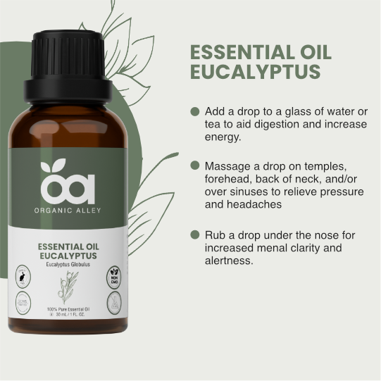 Eucalyptus Essential Oil by Organic Alley (1 Fl Oz) | Pure & Revitalizing Eucalyptus Globulus | Breathe Easy & Refresh Your Senses