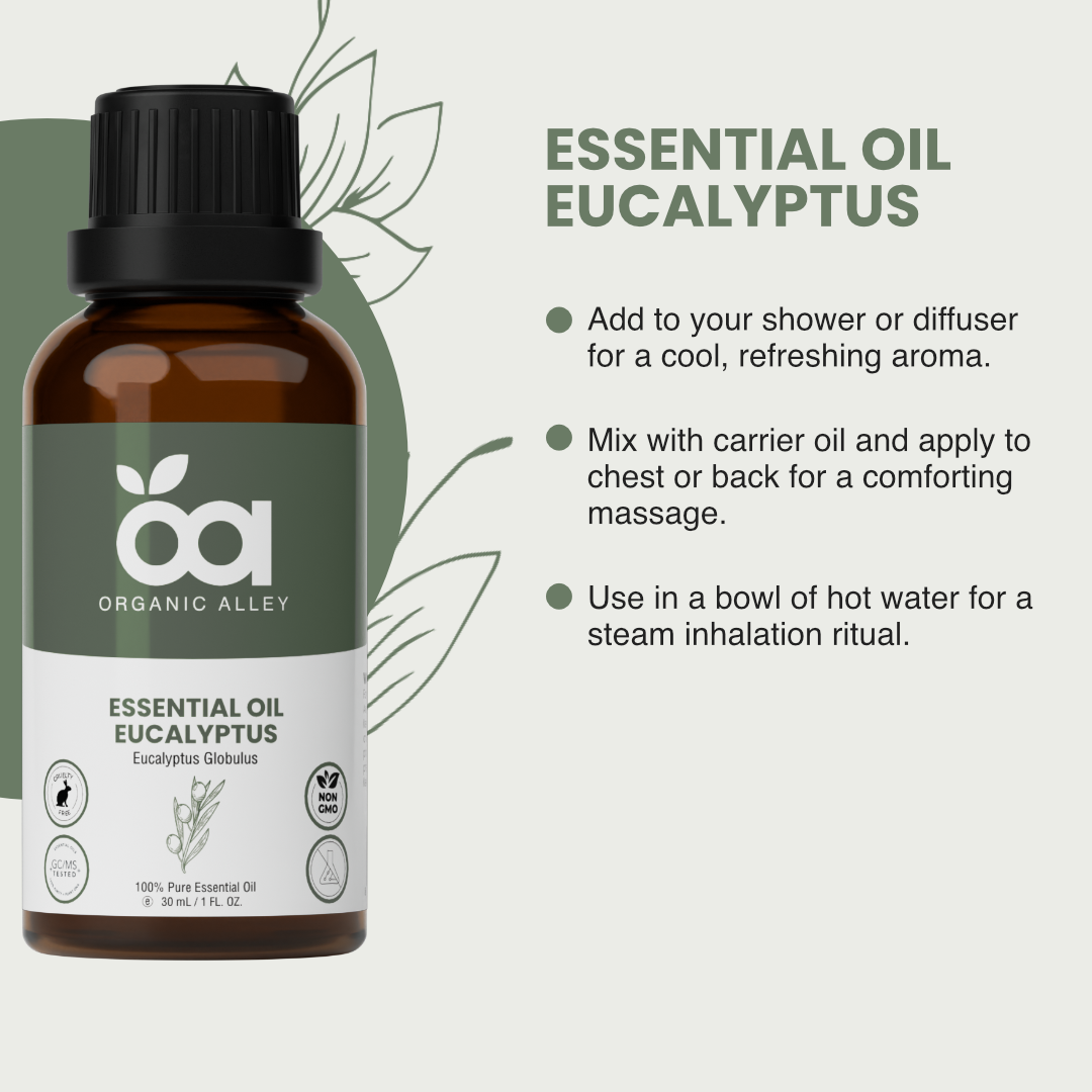 Eucalyptus Essential Oil by Organic Alley (1 Fl Oz) | Pure & Revitalizing Eucalyptus Globulus | Breathe Easy & Refresh Your Senses